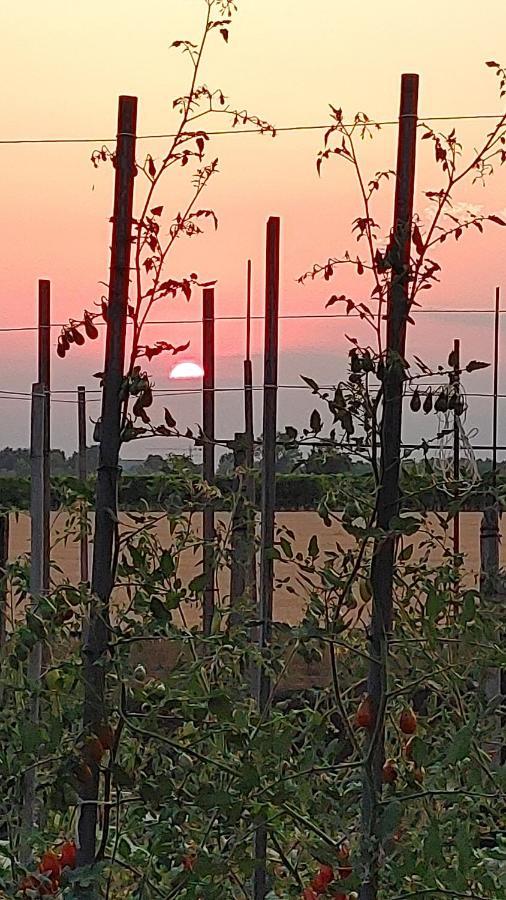 B&B Al Vecio Morer San Donà di Piave Екстериор снимка