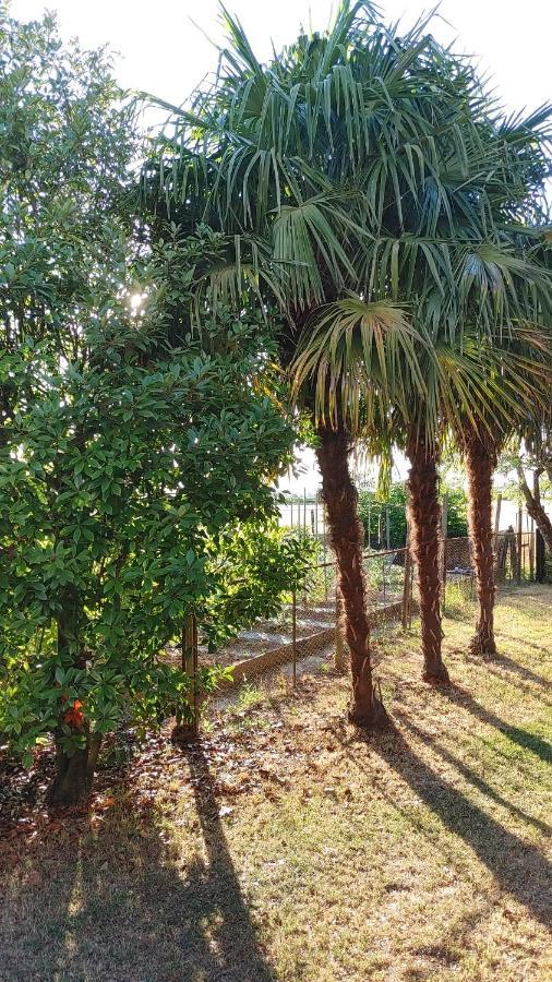 B&B Al Vecio Morer San Donà di Piave Екстериор снимка